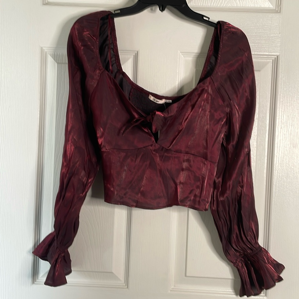 NWT Francesca’s mi Ami long sleeve crop top
